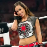WWE Accidentally Confirms AJ Lee’s Return; Deletes Tweet