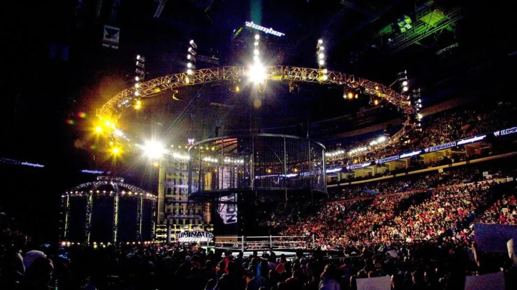 Current WWE champion announces pregnancy