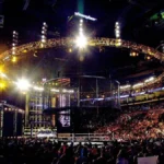 Current WWE champion announces pregnancy