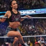 After AJ Lee, another star signs with WWE