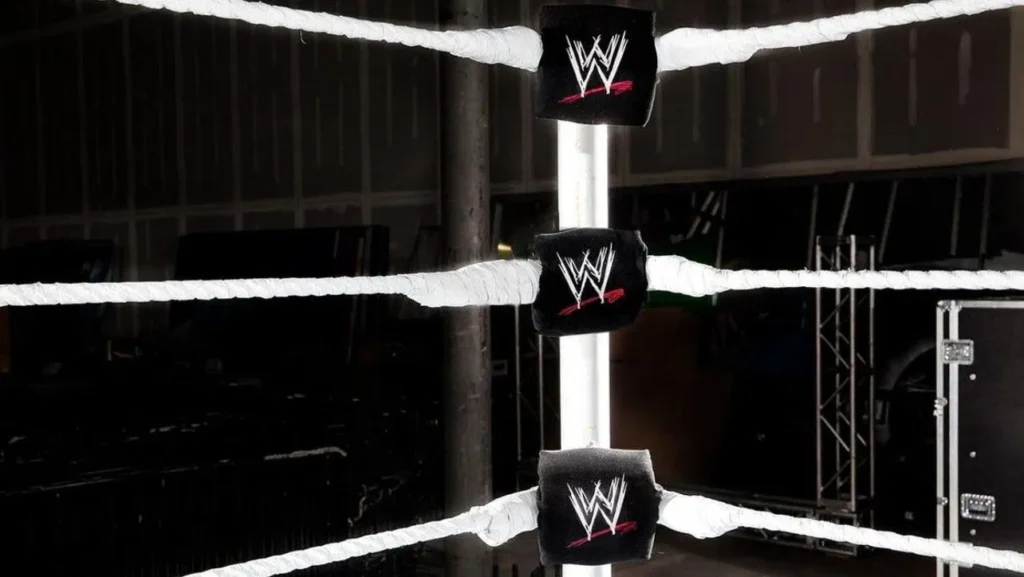 WWE officially confirms another departure